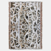 ブランケットエルク〔雄ジカの〕枝角 スローブランケット (正面縦)