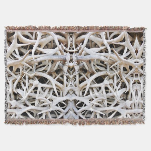 ブランケットエルク〔雄ジカの〕枝角 スローブランケット (正面)