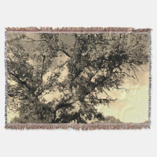 ブランケット美術およびデザインスタイル スローブランケット (正面)