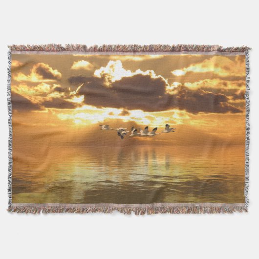 ブランケット (正面)