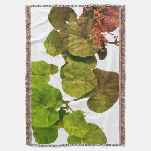 ブランケット (正面縦)