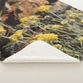 ブランケット (3/4)