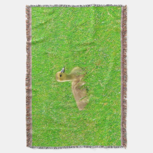 ブランケット (正面縦)