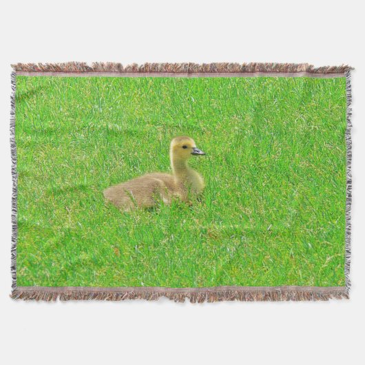 ブランケット (正面)