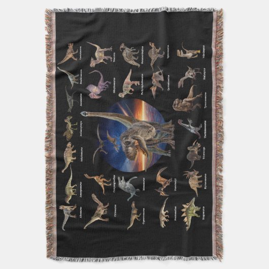 ブランケット (正面縦)