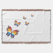 ブランケット (正面)