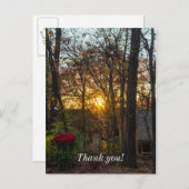 ブランソンの森に沈む夕日 ポストカード (正面/裏面)