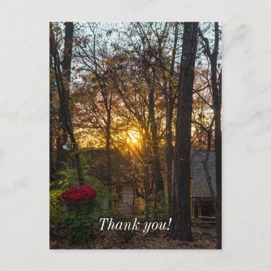 ブランソンの森に沈む夕日 ポストカード (正面)