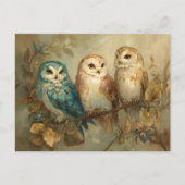 ブランチお洒落上の3つのフクロウ ポストカード (正面)
