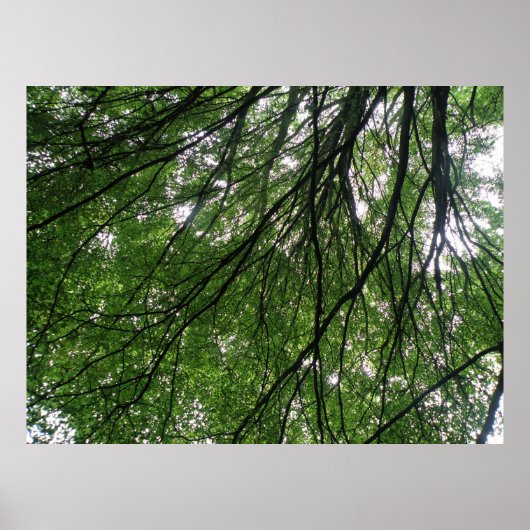 ブランチと葉プリント ポスター (正面)