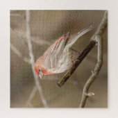 ブランチに止まったハウスフィンチ ジグソーパズル (縦)