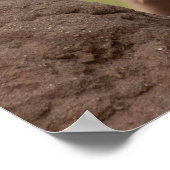 「ブランチに赤と黄色のバーベット」 ポスター (角)