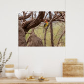 「ブランチに赤と黄色のバーベット」 ポスター (キッチン)