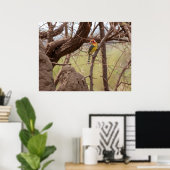 「ブランチに赤と黄色のバーベット」 ポスター (ホームオフィス)