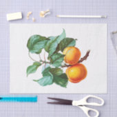 ブランチの桃 薄葉紙 (クラフト)