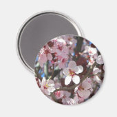 ブランチオブピンクフラムス春フローラ マグネット (正面/裏面)