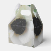 ブランチャード フェイバーボックス (裏面サイド)