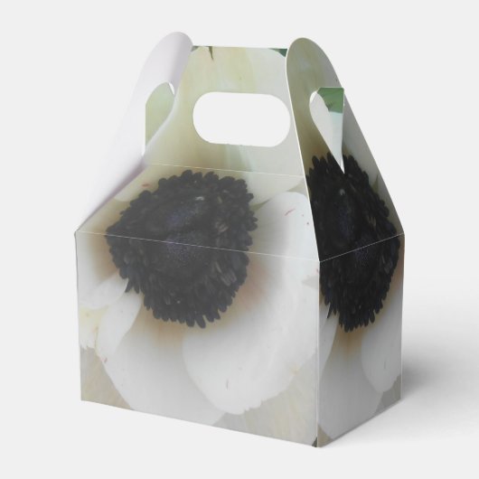 ブランチャード フェイバーボックス (正面サイド)