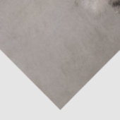 ブランチ上のフワフワの雛を切り離す 薄葉紙 (詳細)