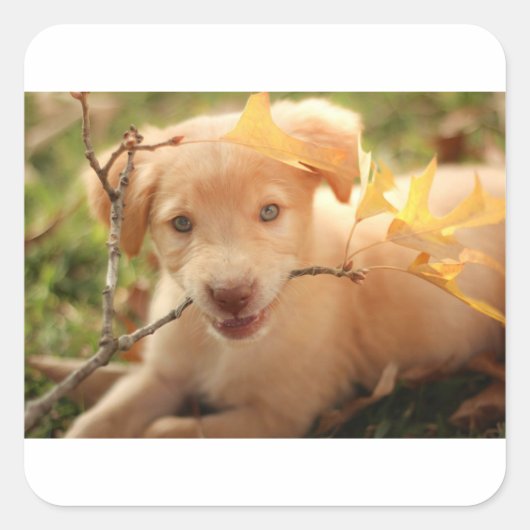 ブランチ付きgrポンプ スクエアシール (正面)