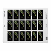 ブランチ&ベリーズブラッククリスマス差出人住所 ラベル (フルシート)