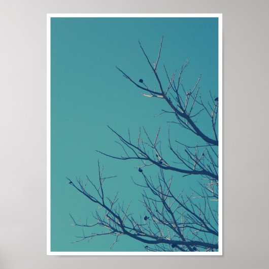 ブランチ ポスター (正面)