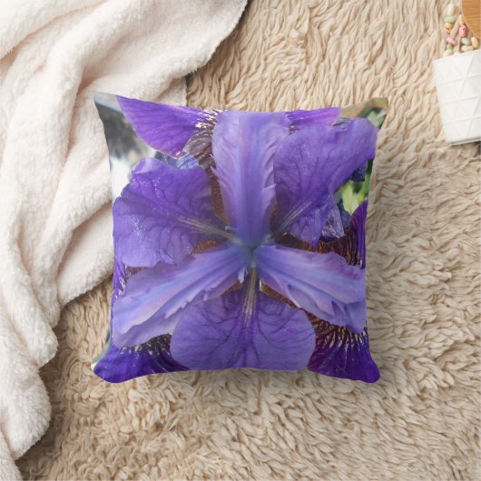 ブランディス クッション (ブランケット)