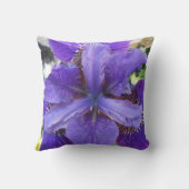 ブランディス クッション (裏面)