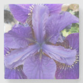 ブランディス ストーンコースター (正面)