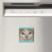 ブランディス・ベージュn白子猫 マグネット (インサイチュ (食洗機))
