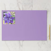 ブランディス ペーパーパッド (インサイチュ)