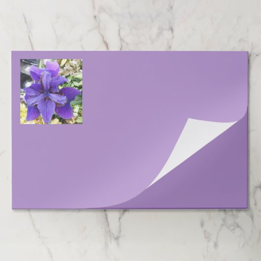 ブランディス ペーパーパッド (折り畳み)