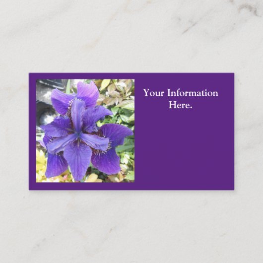 ブランディス 名刺 (正面)