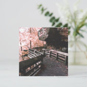 ブランディワイン・ボードウォーク 招待状 (スタンド正面)