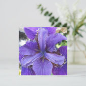 ブランデイ (スタンド正面)