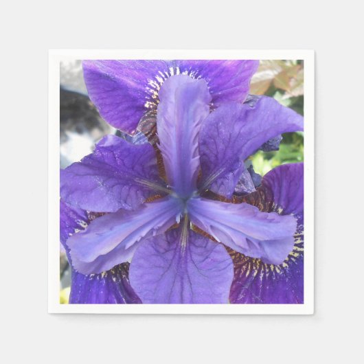 ブランデイ スタンダードカクテルナプキン (正面)