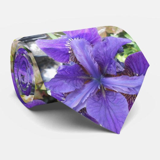 ブランデイ ネクタイ (ロール)