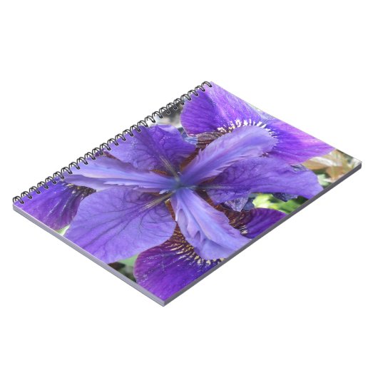 ブランデイ ノートブック (左側)