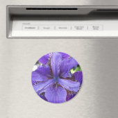 ブランデイ マグネット (インサイチュ (食洗機))