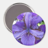 ブランデイ マグネット (正面/裏面)