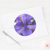 ブランデイ ラウンドシール (封筒)