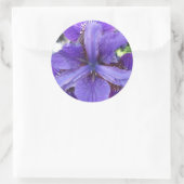 ブランデイ ラウンドシール (バッグ)