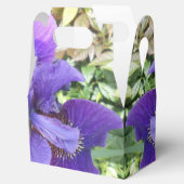 ブランデル フェイバーボックス (オープン)