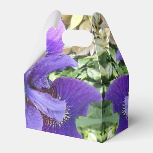 ブランデル フェイバーボックス (正面サイド)