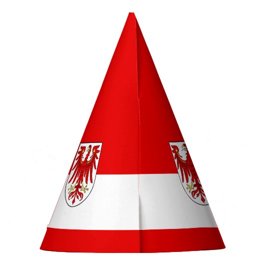 ブランデンブルクパーティー帽子の国旗 パーティーハット (裏面)