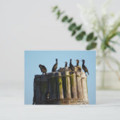 ブラント朝 ポストカード (スタンド正面)