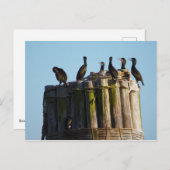 ブラント朝 ポストカード (正面/裏面)