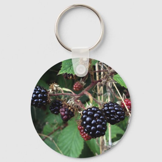 ブランブルズキーチェーン キーホルダー (正面)