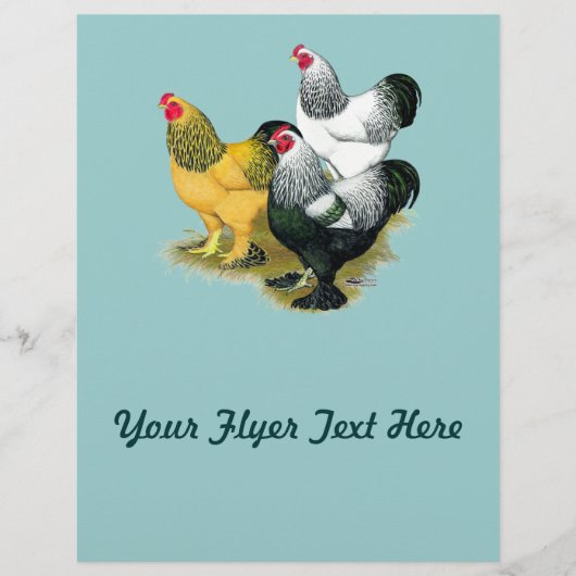 ブラーマススリーロスター チラシ (正面)