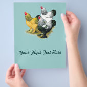 ブラーマススリーロスター チラシ (手)